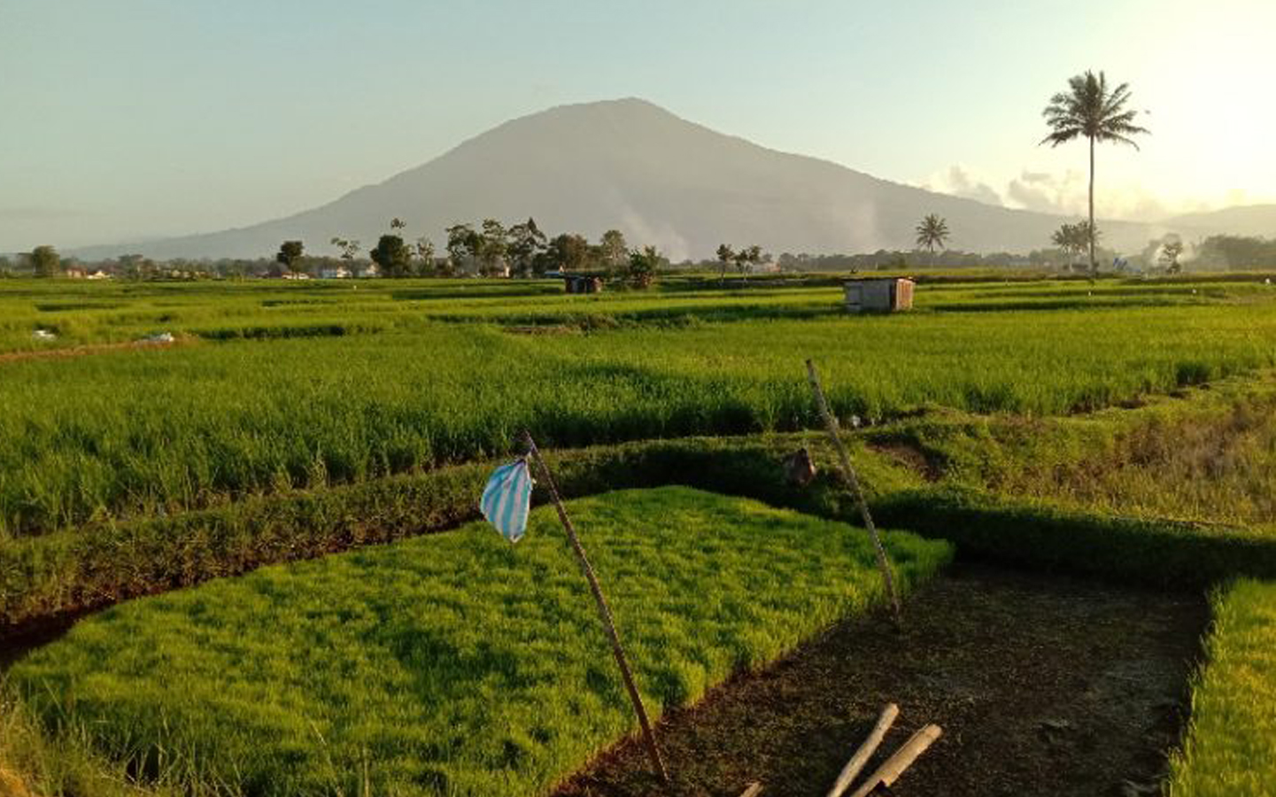Setitik Surga Di Kelurahan Pakan Labuah