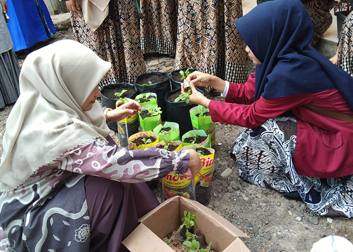 Sasar Warga Panti Asuhan, Fakultas Pertanian Edukasi Urban Farming 